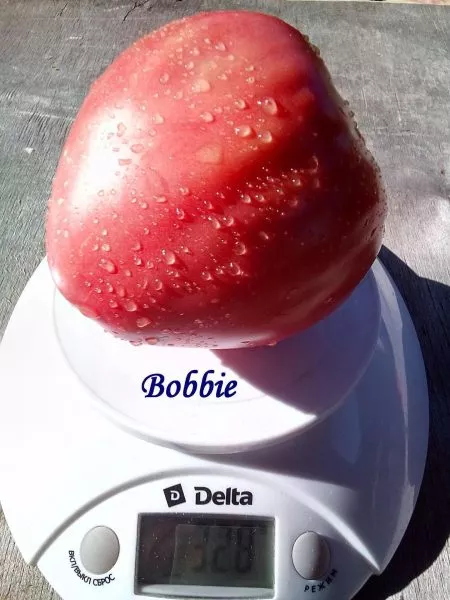 bobbi-bobbie-4-138308