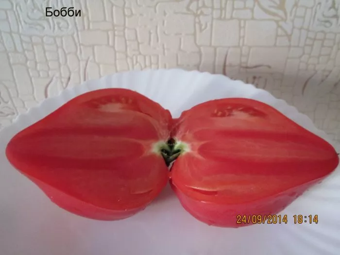 bobbi-bobbie-6-138308