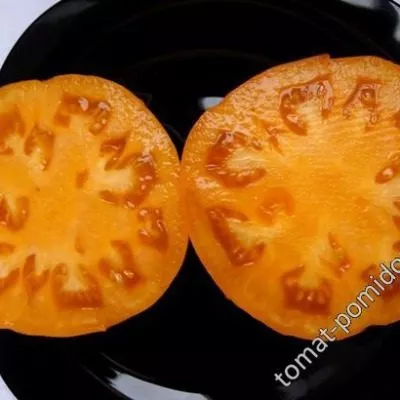 bochka-meda-5-133665