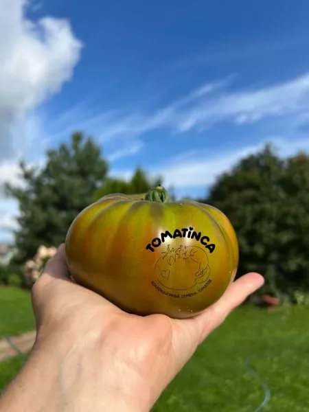 bolshoy-almatinskiy-trikolor-6-157883