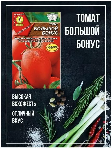 bolshoy-bonus-2-159009