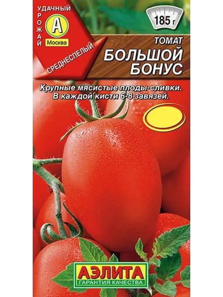 bolshoy-bonus-main-159009