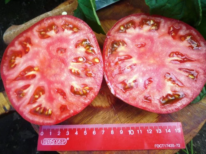 bolshoy-kerol-2-142998