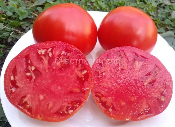 bolshoy-kerol-main-142998