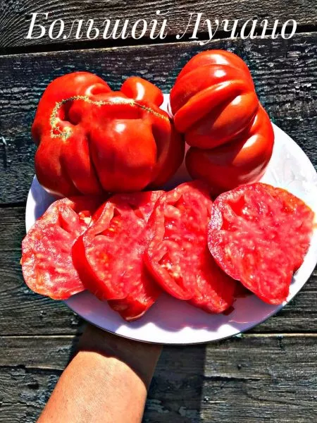 bolshoy-luchano-1-167202