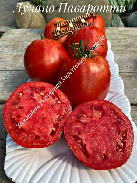 bolshoy-luchano-4-167202