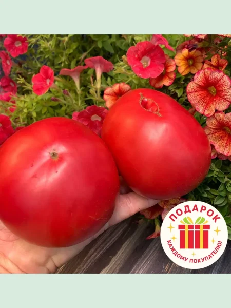 bolshoy-luchano-6-167202