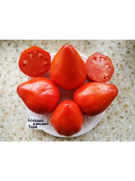 bolshoy-luchano-8-167202