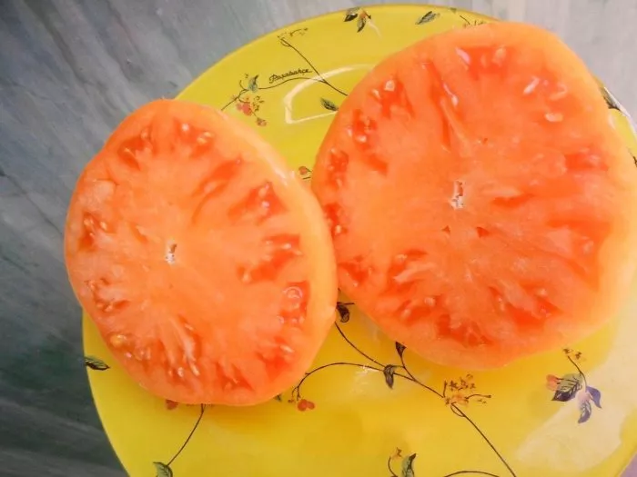 bolshoy-zolotoy-vkusnyy-3-154443