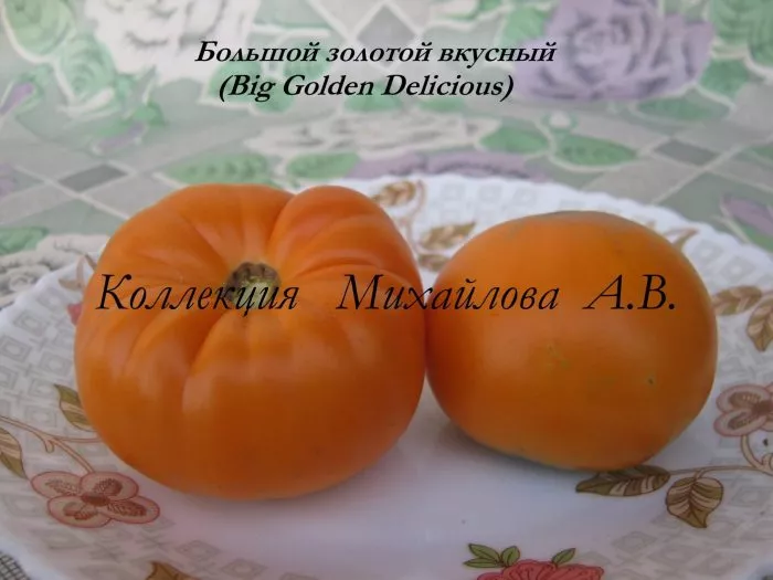 bolshoy-zolotoy-vkusnyy-6-154443