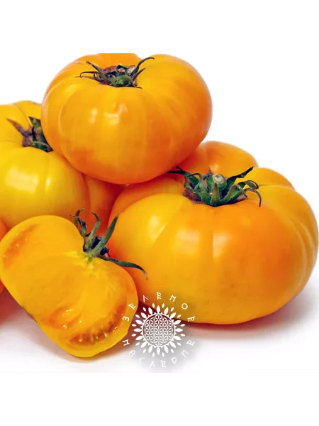 brendivayn-zheltyy-2-155686