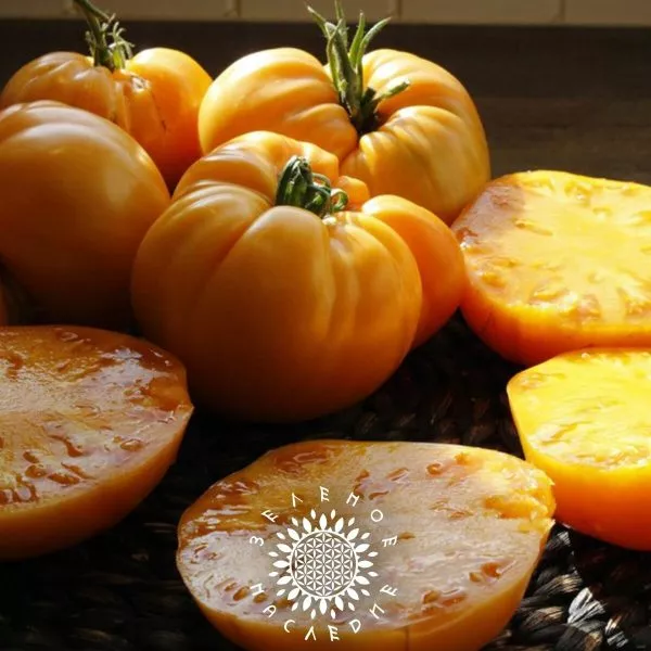 brendivayn-zheltyy-main-155686