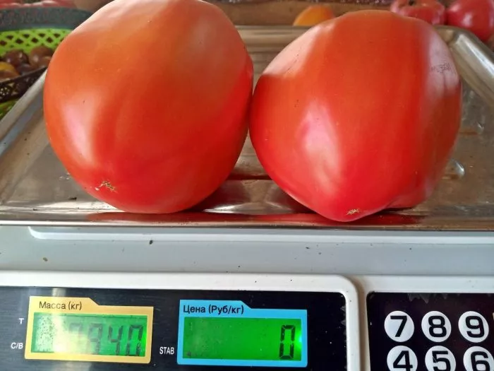 brilliant-opedisano-5-143085