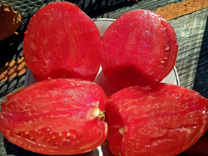 brilliant-opedisano-8-143085