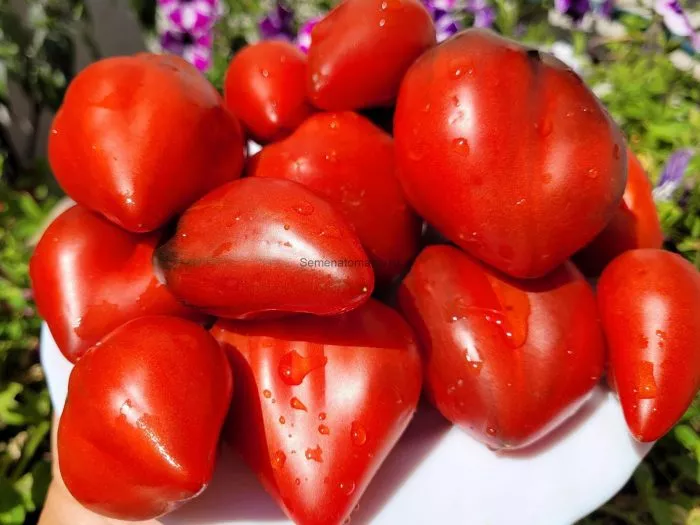 bronzovye-nosiki-serzhanta-peppera-1-155710