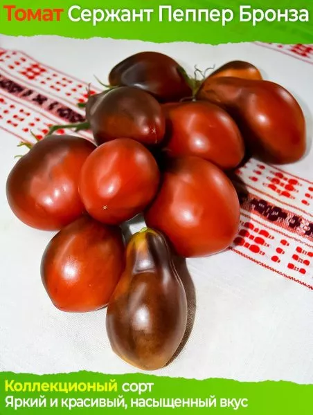 bronzovye-nosiki-serzhanta-peppera-4-155710