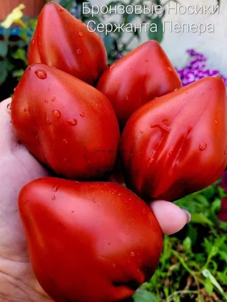 bronzovye-nosiki-serzhanta-peppera-main-155710