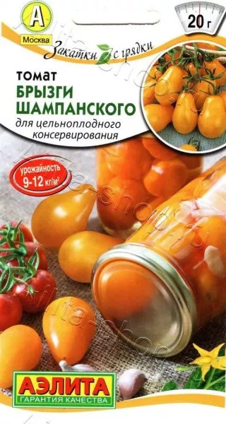 bryzgi-shampanskogo-2-141112