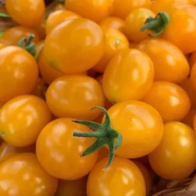 bryzgi-shampanskogo-8-141112