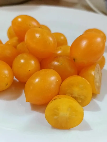 bryzgi-shampanskogo-main-141112