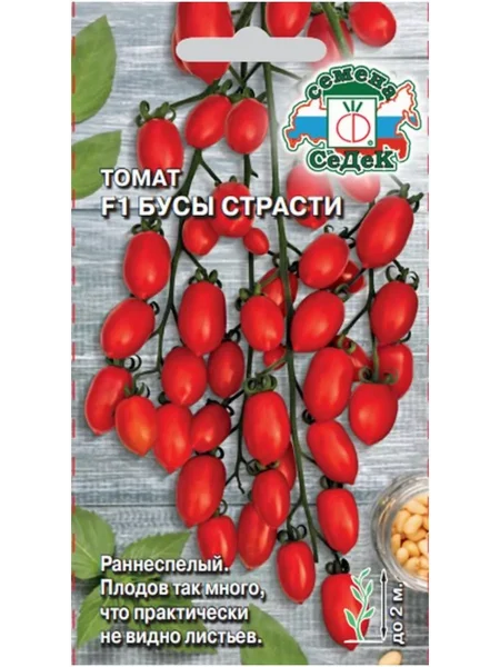 busy-strasti-1-139805