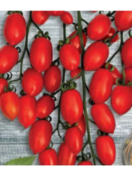 busy-strasti-main-139805