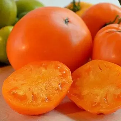 byche-serdtse-angliyskoe-6-150597