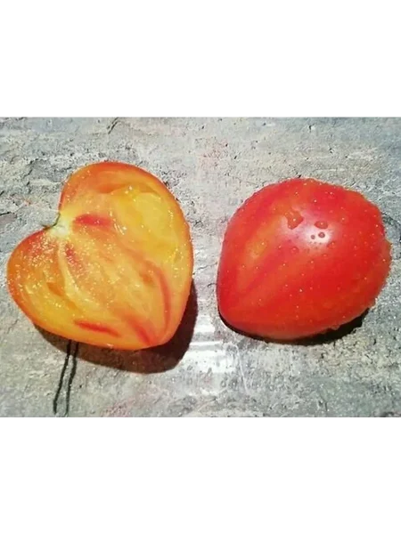 byche-serdtse-bikolor-2-134289-1