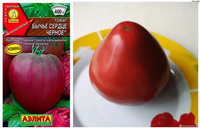 byche-serdtse-chernoe-4-163003