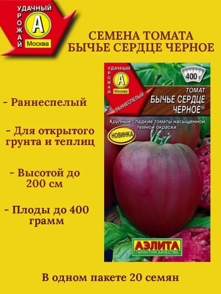 byche-serdtse-chernoe-7-163003