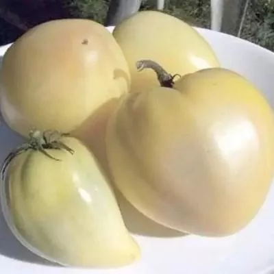 byche-serdtse-kremovoe-8-165169