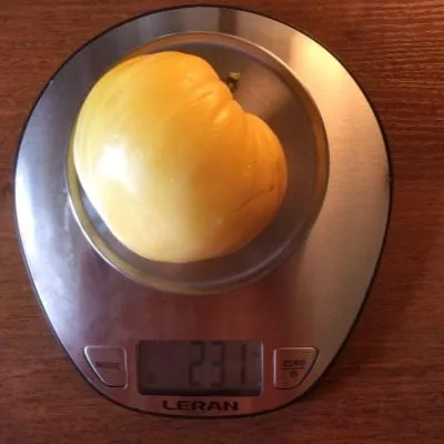 byche-serdtse-kremovoe-9-165169