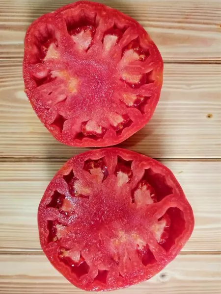 bychya-sumka-rebekki-sebastyan-3-139475