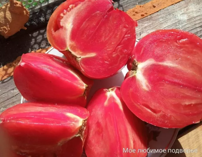 bychya-sumka-rebekki-sebastyan-4-139475-2