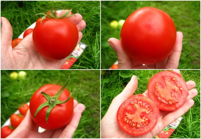 bystrenok-1-133557-2