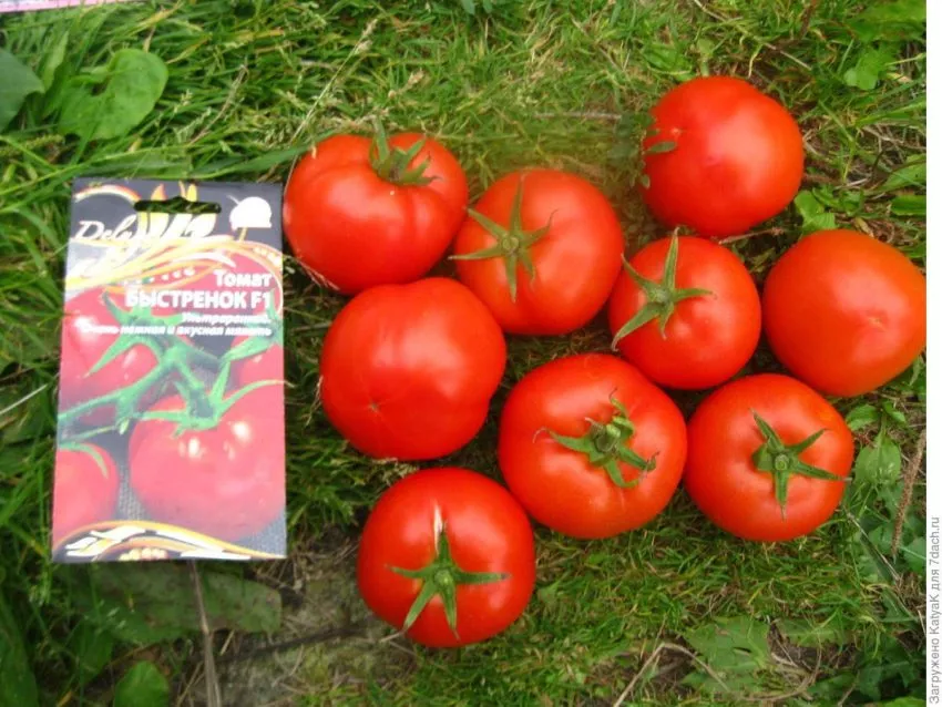 bystrenok-1-133557-3