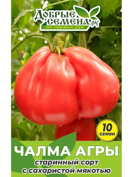 chalma-agry-1-152288