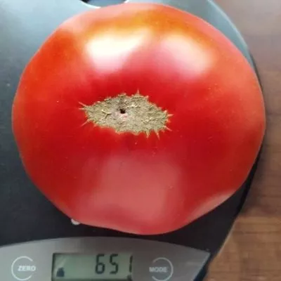 chempion-buryatii-10-168709