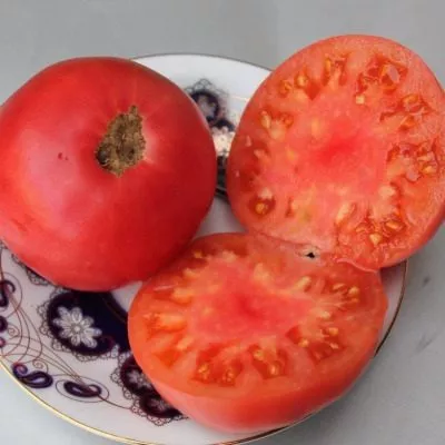 chempion-buryatii-11-168709