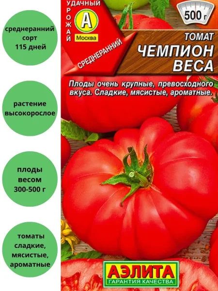 chempion-vesa-2-161683