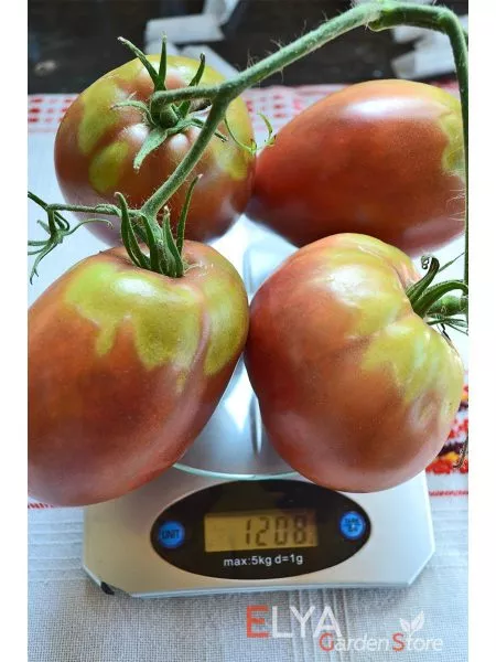 chernaya-piramida-10-143183