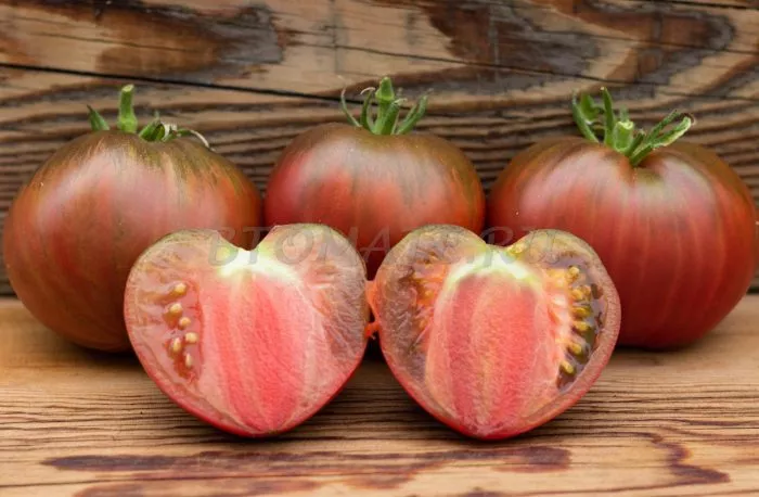 chernaya-piramida-11-143183