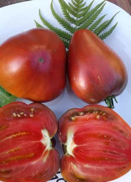 chernaya-piramida-4-143183