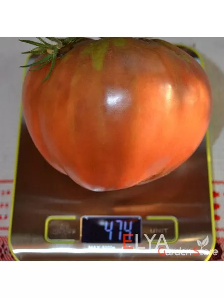 chernaya-piramida-6-143183