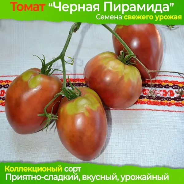 chernaya-piramida-7-143183