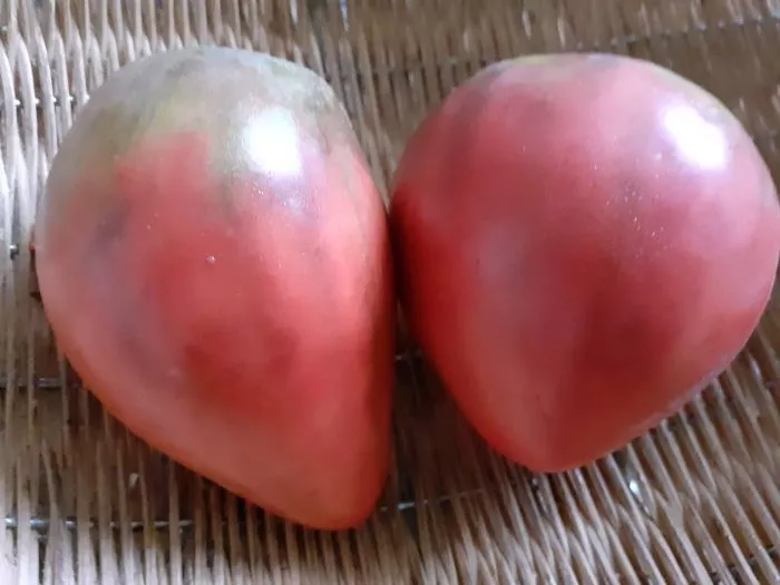 chernaya-piramida-8-143183