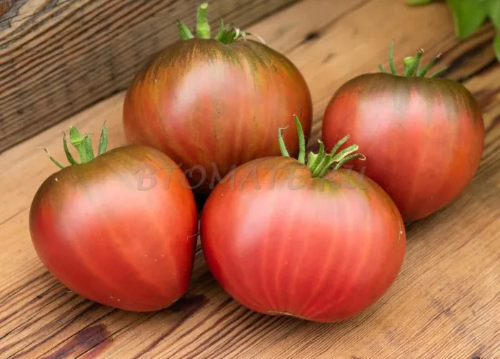 chernaya-piramida-main-143183