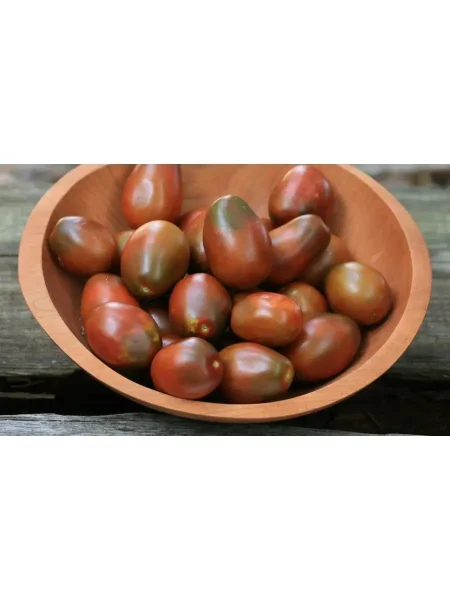 chernaya-slivka-1-143380