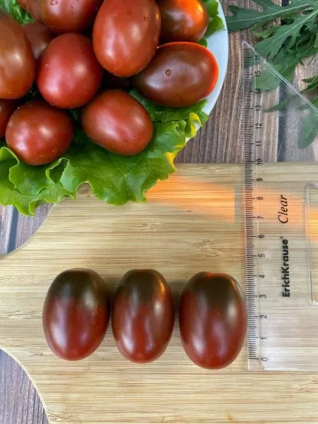 chernaya-slivka-5-143380