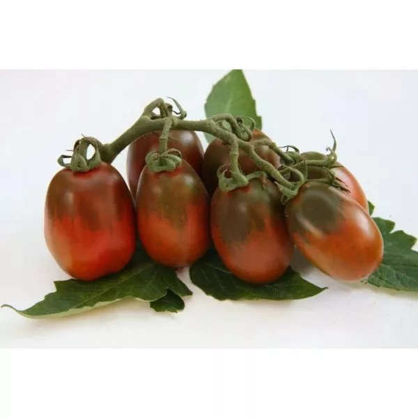 chernaya-slivka-6-143380